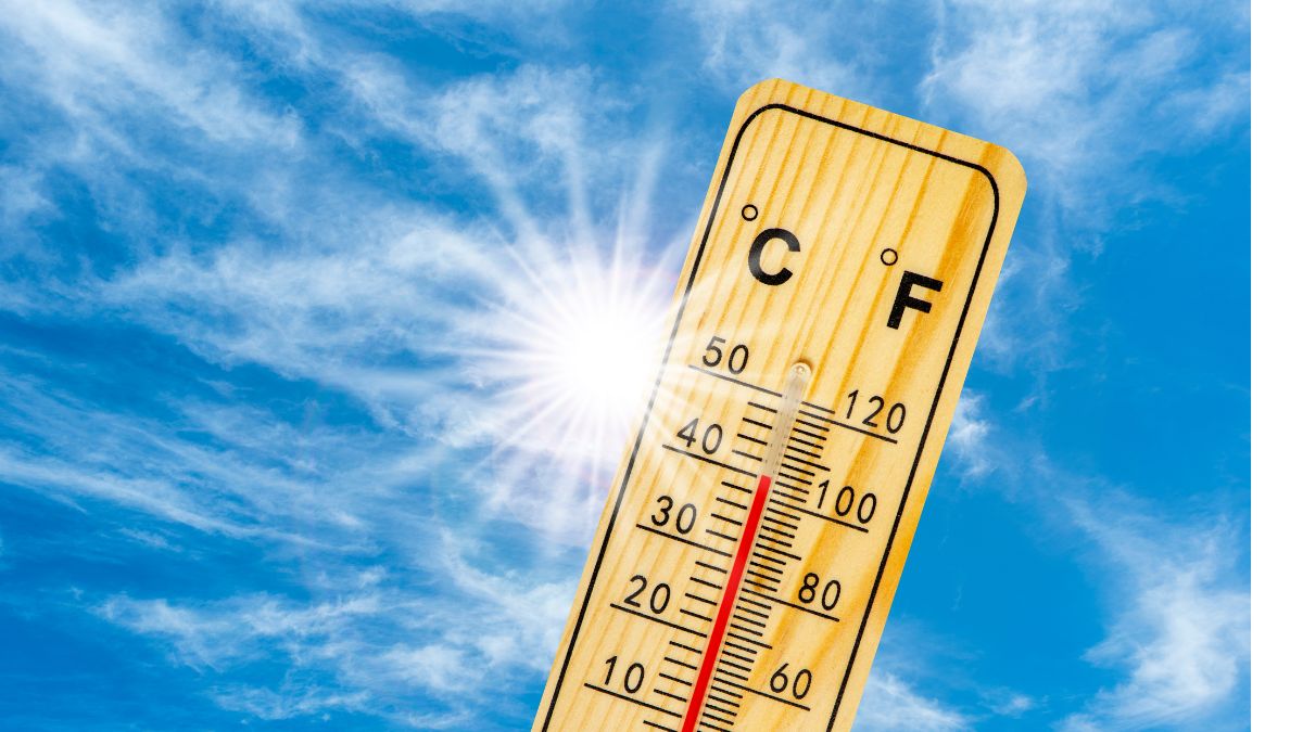 Uwaga na upały!